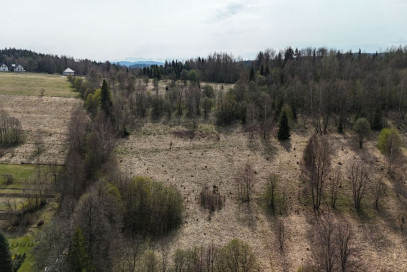 Działka Sprzedaż Jordanów