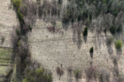 Działka Sprzedaż Jordanów
