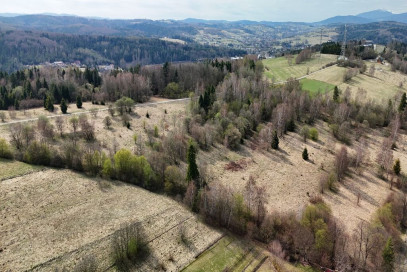 Działka Sprzedaż Jordanów