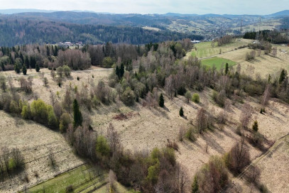 Działka Sprzedaż Jordanów