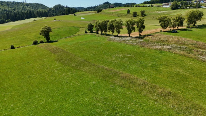 Działka Sprzedaż Falsztyn