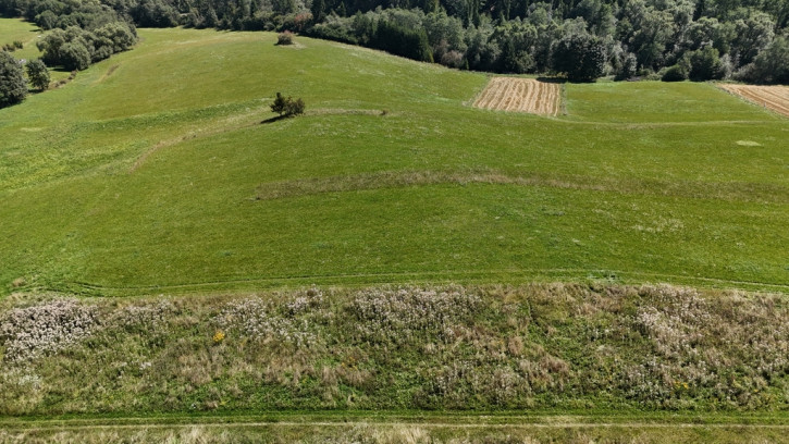 Działka Sprzedaż Falsztyn 11
