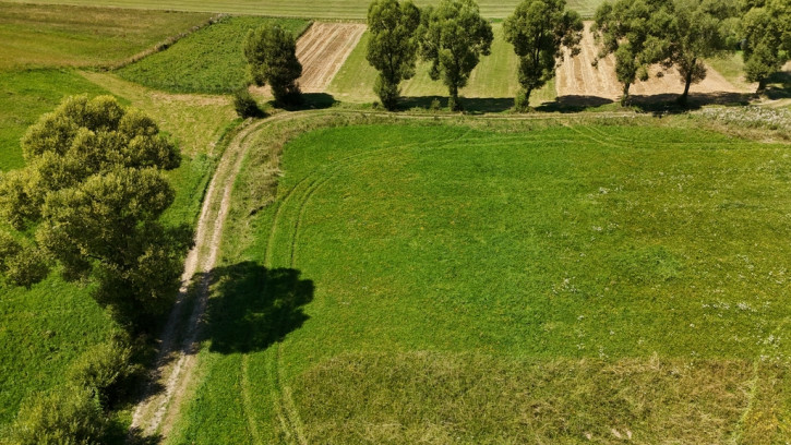 Działka Sprzedaż Falsztyn 9