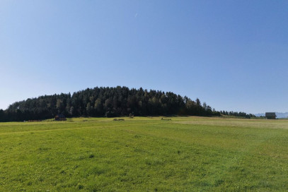 Działka Sprzedaż Nowa Biała