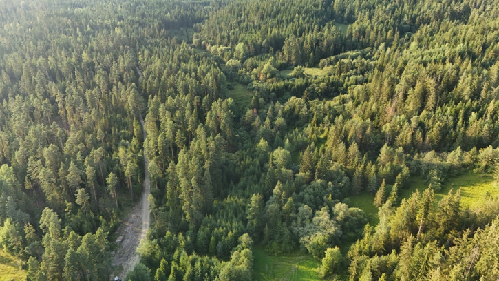 Działka Sprzedaż Podwilk 4