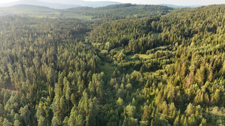 Działka Sprzedaż Podwilk 6