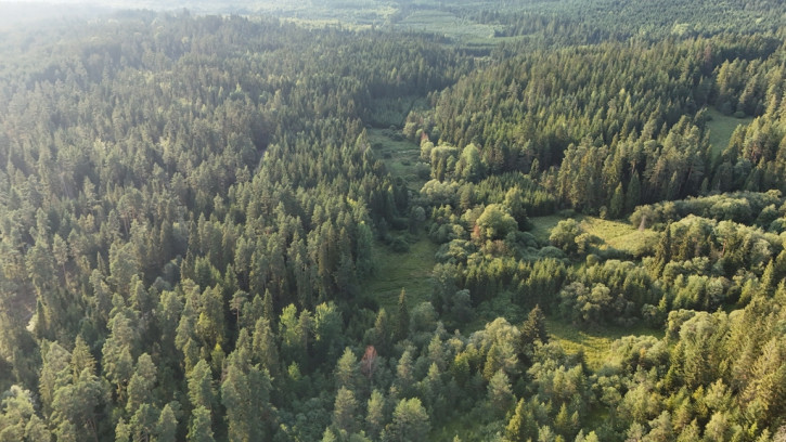 Działka Sprzedaż Podwilk 7