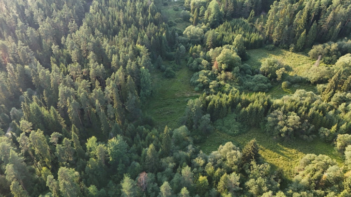 Działka Sprzedaż Podwilk 8