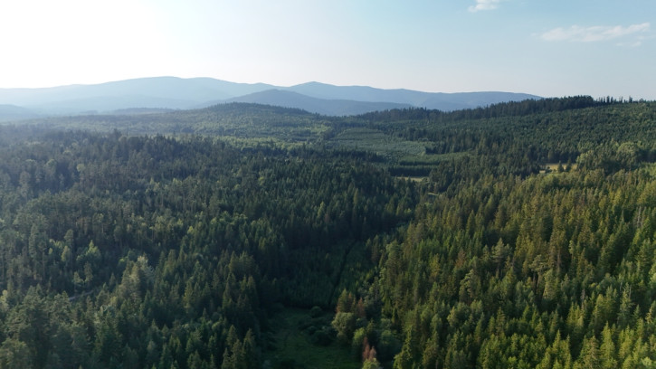 Działka Sprzedaż Podwilk 9
