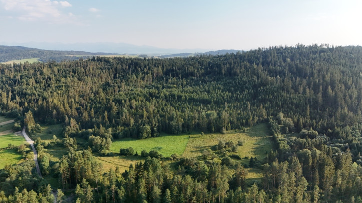 Działka Sprzedaż Podwilk 14