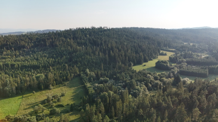 Działka Sprzedaż Podwilk 15