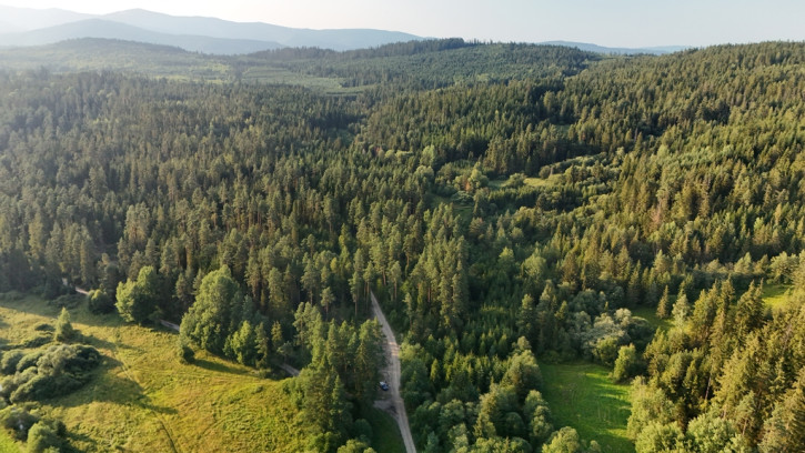 Działka Sprzedaż Podwilk 19