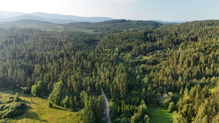Działka Sprzedaż Podwilk 20