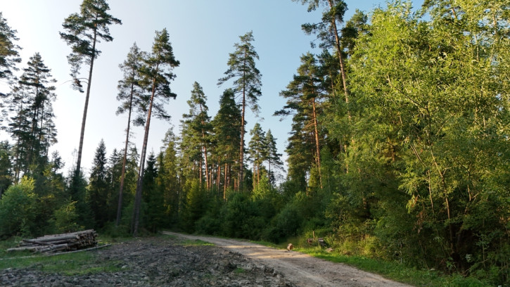 Działka Sprzedaż Podwilk 5