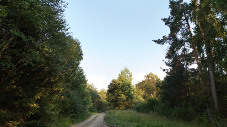 Działka Sprzedaż Podwilk 21