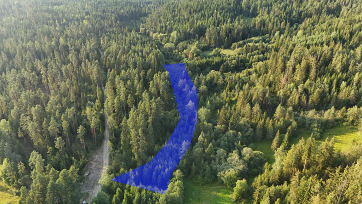 Działka Sprzedaż Podwilk 1