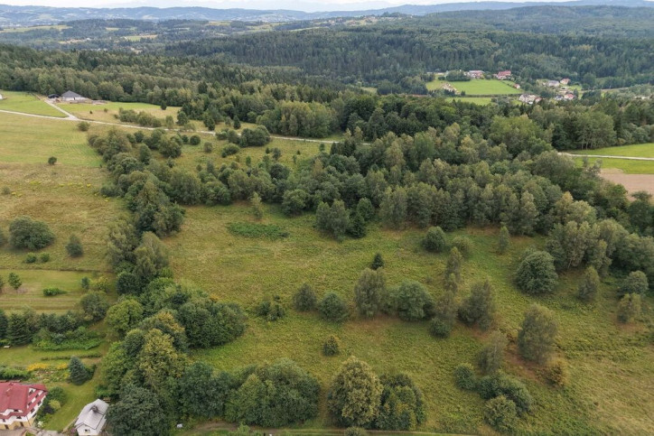 Działka Sprzedaż Jordanów 3