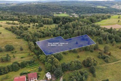 Działka Sprzedaż Jordanów