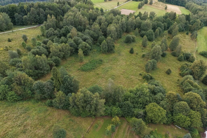 Działka Sprzedaż Jordanów 4