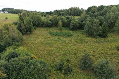 Działka Sprzedaż Jordanów
