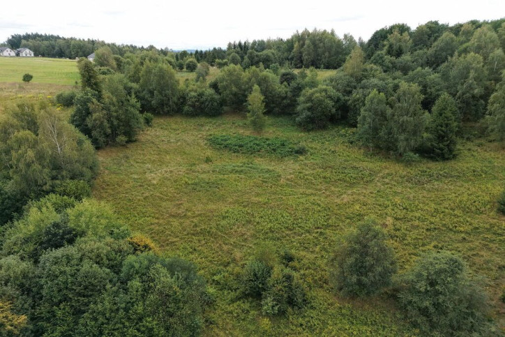 Działka Sprzedaż Jordanów 9