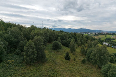 Działka Sprzedaż Jordanów