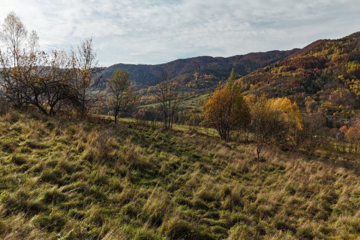 Działka Sprzedaż Tylmanowa 6